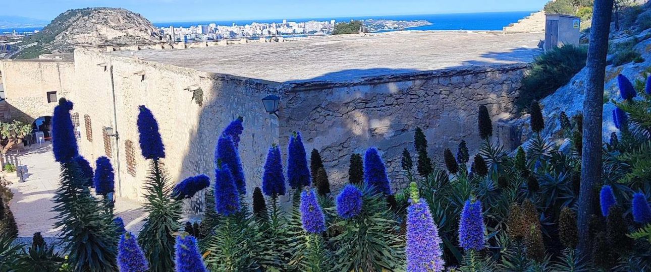 Muralla del castillo de Santa Bárbara sobre el mar de Alicante