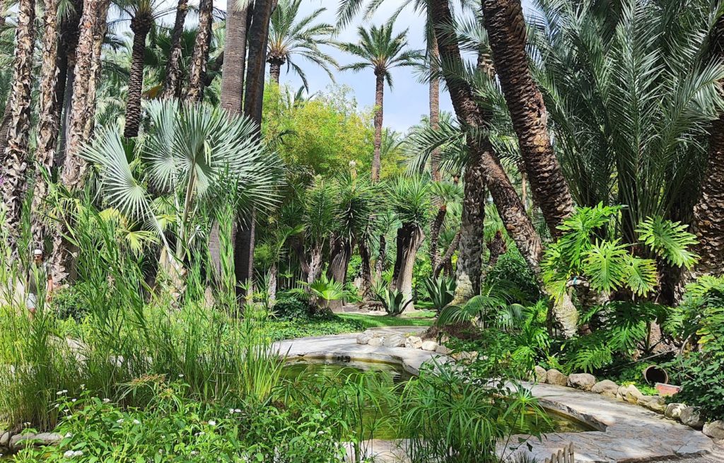 El Palmeral de Elche