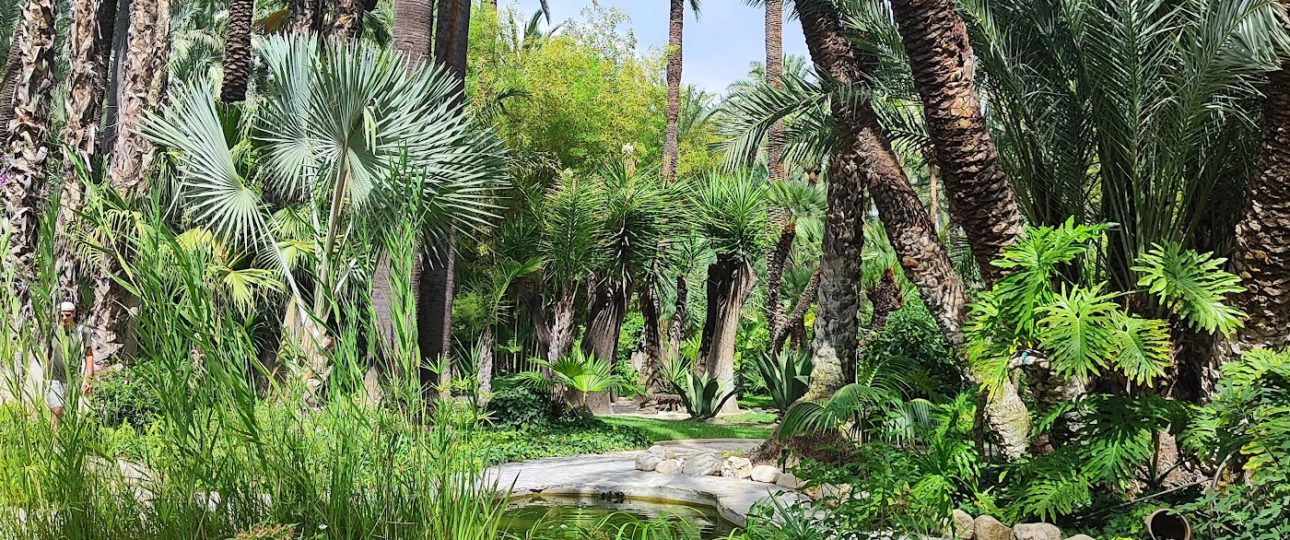 El Palmeral de Elche