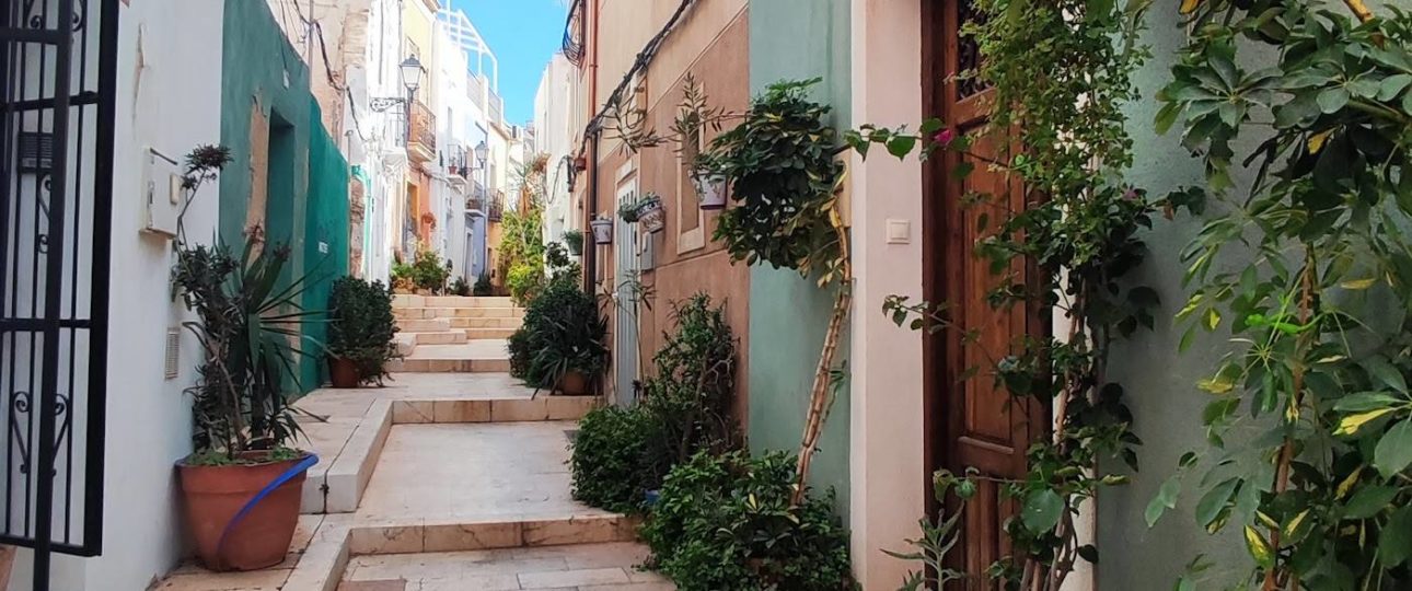 Calle con plantas en el casco antiguo de Alicante